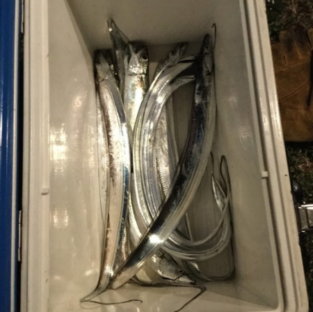 アジ　サバ　太刀魚　ジグパラマイクロ・ジグパラワインド